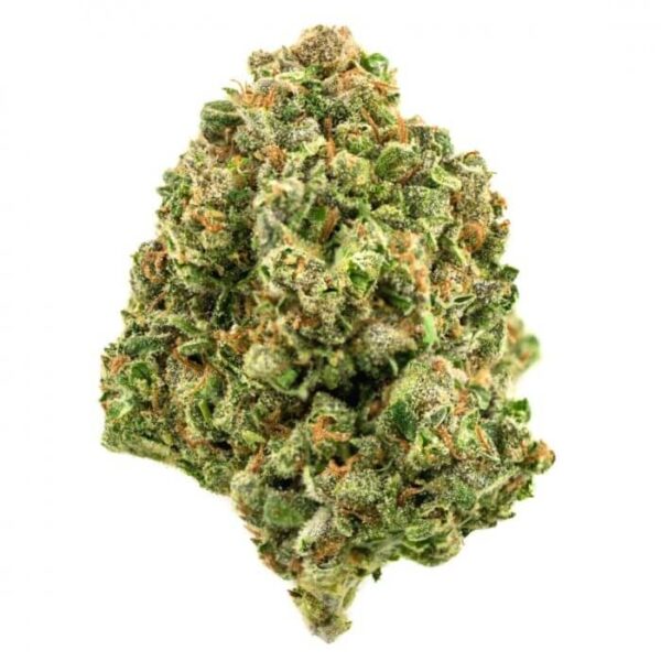 Buy Durban Poison Strains Online