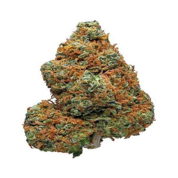 Buy Super Skunk Strains Online